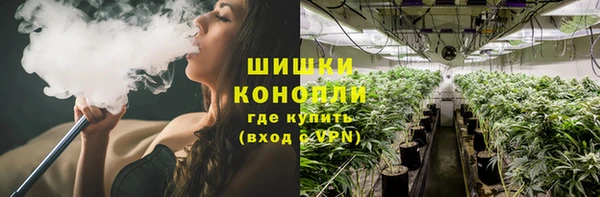 PSILOCYBIN Михайловка